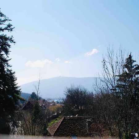 Maison 3 Chambres Au Lac D'Annecy, 30Min La Clusaz Menthon-Saint-Bernard Exteriör bild