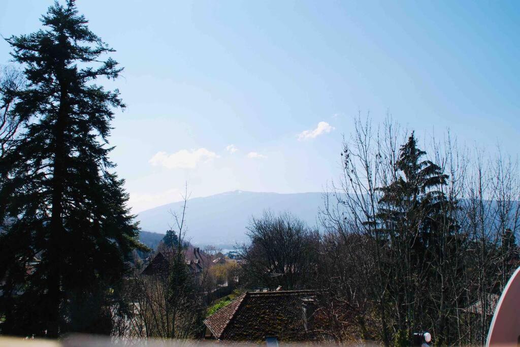 Maison 3 Chambres Au Lac D'Annecy, 30Min La Clusaz Menthon-Saint-Bernard Exteriör bild