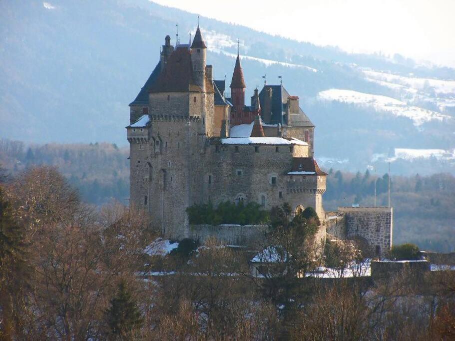 Maison 3 Chambres Au Lac D'Annecy, 30Min La Clusaz Menthon-Saint-Bernard Exteriör bild