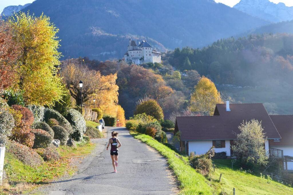Maison 3 Chambres Au Lac D'Annecy, 30Min La Clusaz Menthon-Saint-Bernard Exteriör bild