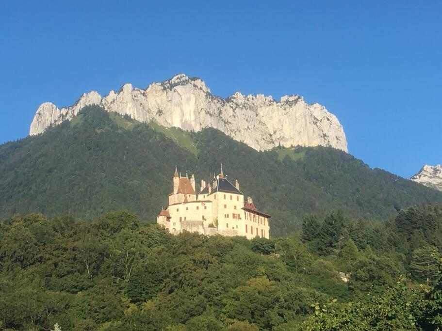 Maison 3 Chambres Au Lac D'Annecy, 30Min La Clusaz Menthon-Saint-Bernard Exteriör bild
